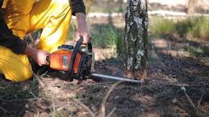 Lawn Grading and Leveling in Evans, GA